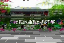 广场舞歌曲想你想不够