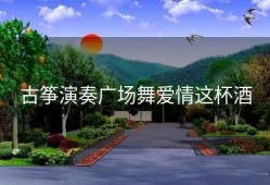 古筝演奏广场舞爱情这杯酒