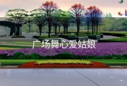 广场舞心爱姑娘