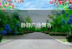 静静广场舞香