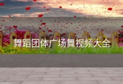 舞蹈团体广场舞视频大全