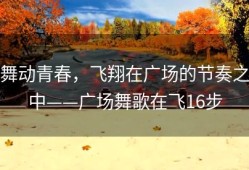 舞动青春，飞翔在广场的节奏之中——广场舞歌在飞16步