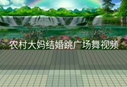农村大妈结婚跳广场舞视频