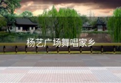杨艺广场舞唱家乡