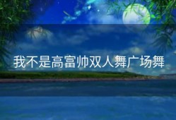 我不是高富帅双人舞广场舞