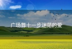 广场舞十一步迷茫的爱