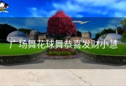 广场舞花球舞恭喜发财小慧