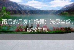 雨后的月亮广场舞：洗尽尘俗，绽放生机