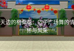 天边的格桑花：応子广场舞的情怀与风采