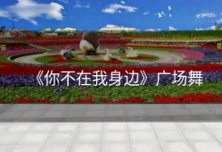《你不在我身边》广场舞