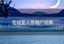 雪域爱人原唱广场舞