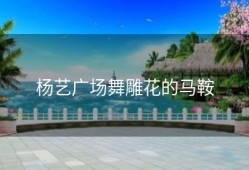 杨艺广场舞雕花的马鞍