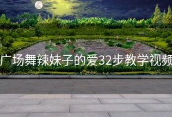 广场舞辣妹子的爱32步教学视频