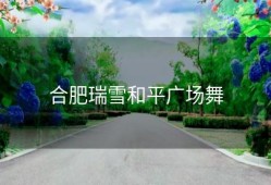 合肥瑞雪和平广场舞