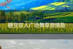 糖豆双人广场舞草原情歌