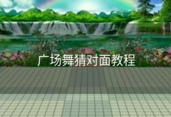 广场舞猜对面教程