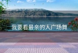 我要看最亲的人广场舞