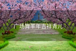 广场舞羊年吉祥青儿