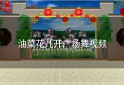 油菜花儿开广场舞视频