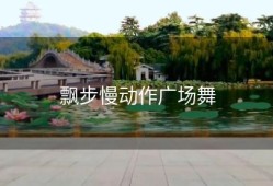 飘步慢动作广场舞