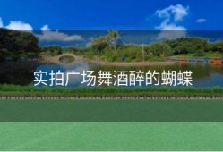 实拍广场舞酒醉的蝴蝶