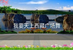 我要天上西藏广场舞