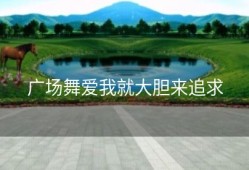 广场舞爱我就大胆来追求