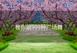 教你跳999种广场舞