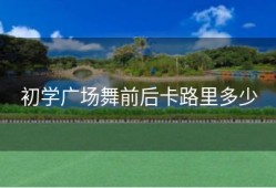 初学广场舞前后卡路里多少