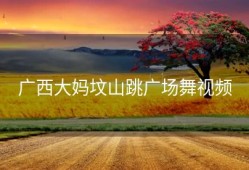 广西大妈坟山跳广场舞视频