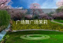 广场舞广场茉莉