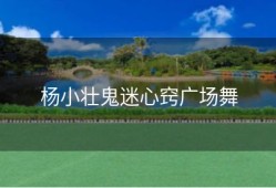 杨小壮鬼迷心窍广场舞