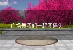 广场舞我们一起闯码头