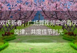 欢庆新春：广场舞视频中的喜庆旋律，共度佳节时光