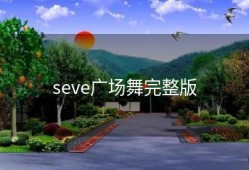 seve广场舞完整版