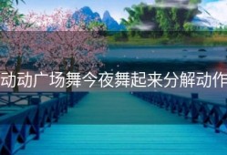 动动广场舞今夜舞起来分解动作