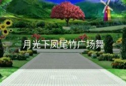 月光下凤尾竹广场舞