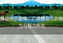 舞动快乐旋律，广场舞音乐的魅力与魅力所在