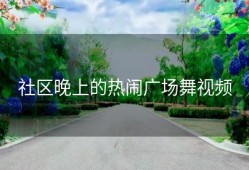 社区晚上的热闹广场舞视频