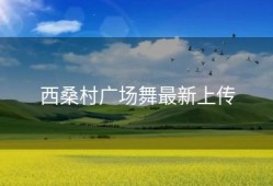 西桑村广场舞最新上传