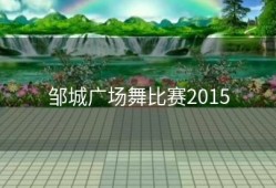 邹城广场舞比赛2015