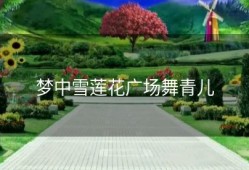 梦中雪莲花广场舞青儿