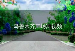 乌鲁木齐广场舞视频