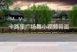 卡路里广场舞小视频背面