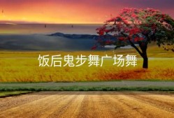 饭后鬼步舞广场舞