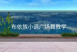 布依族小调广场舞教学