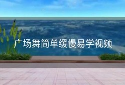 广场舞简单缓慢易学视频