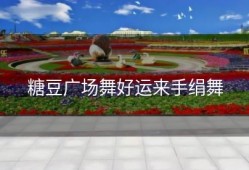 糖豆广场舞好运来手绢舞