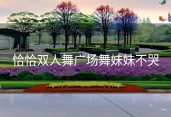 恰恰双人舞广场舞妹妹不哭