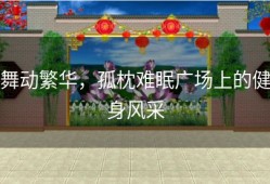 舞动繁华，孤枕难眠广场上的健身风采
